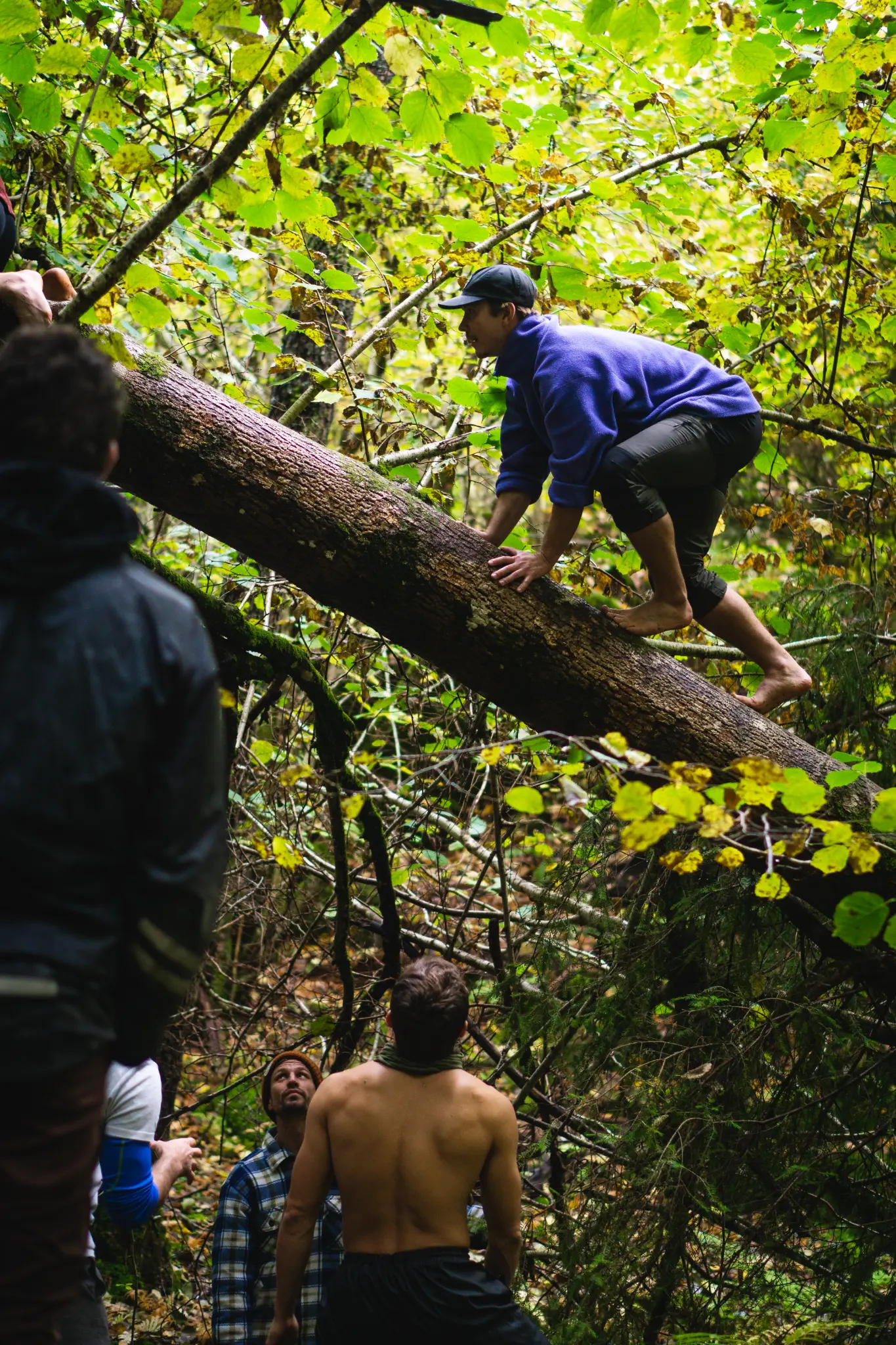 Forest exploration